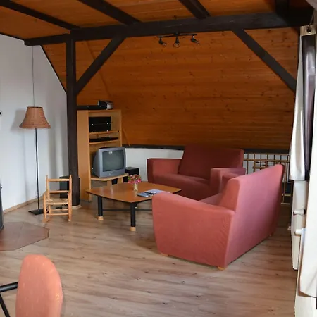 别墅 Holiday Home Abertamy 阿贝尔塔米